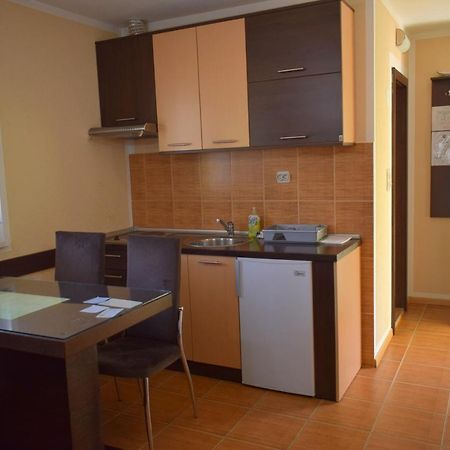 Apartmani Radoicic Josanicka Banja Bagian luar foto