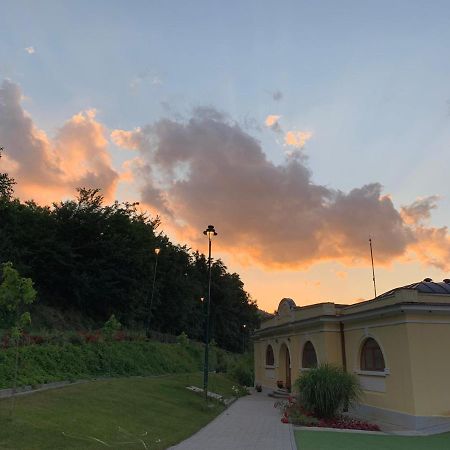 Apartmani Radoicic Josanicka Banja Bagian luar foto