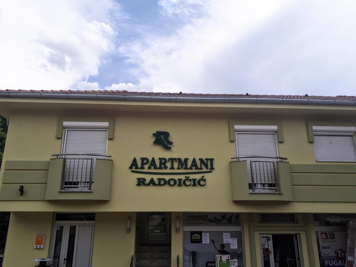 Apartmani Radoicic Josanicka Banja Bagian luar foto