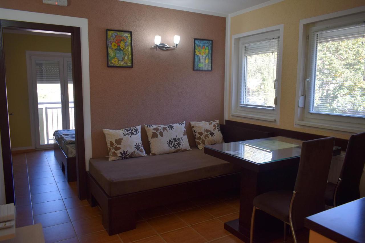 Apartmani Radoicic Josanicka Banja Bagian luar foto