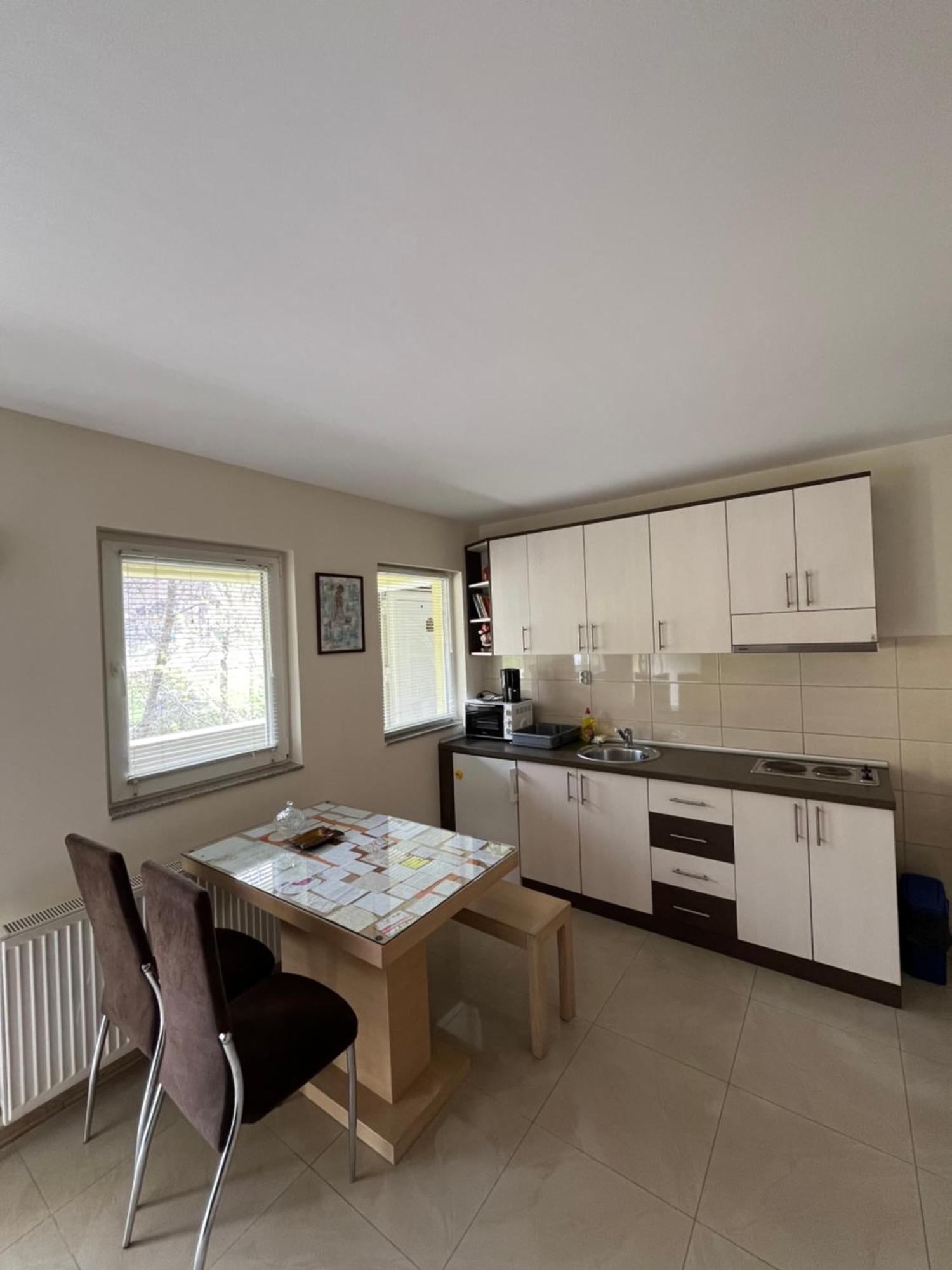 Apartmani Radoicic Josanicka Banja Bagian luar foto