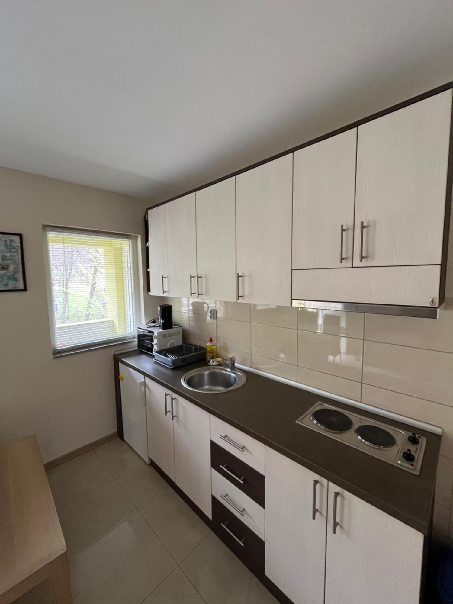 Apartmani Radoicic Josanicka Banja Bagian luar foto